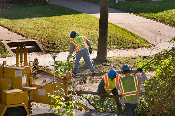 Why Choose Our Tree Removal Services in Heath, OH?